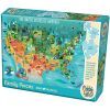 UNITED STATES OF AMERICA PUZZL